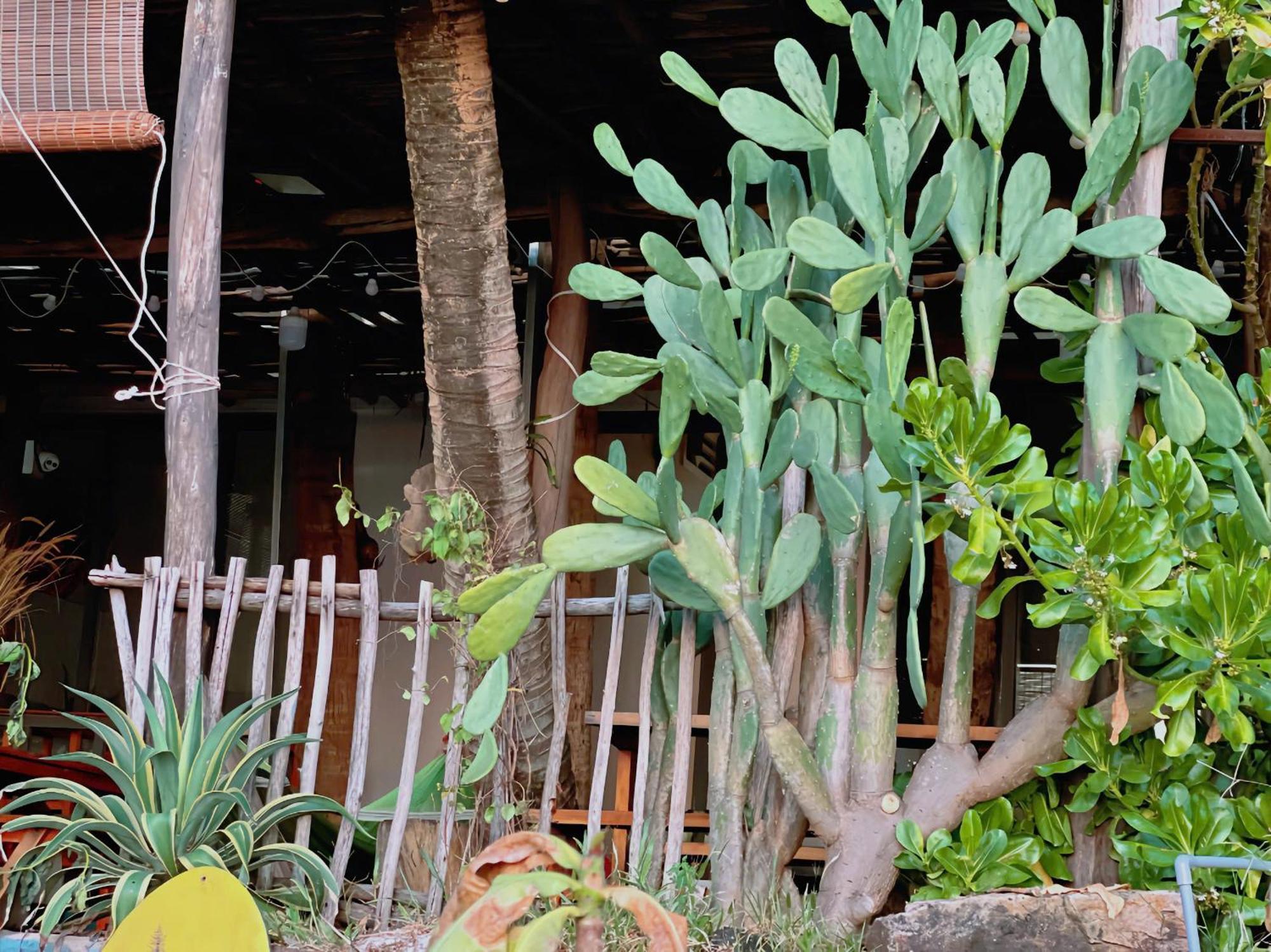 Soho 1 Phu Quoc Daire Dış mekan fotoğraf